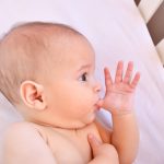 shutterstock_1011478240