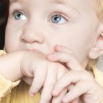 shutterstock_1016997811