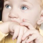 shutterstock_1016997811