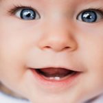 shutterstock_676225507