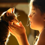 Girl,Looking,At,The,Cat