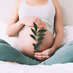 Pregnant,Woman,Holds,Green,Sprout,Plant,Near,Her,Belly,As