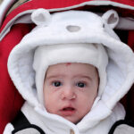 Baby,In,A,Carrier
