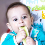 Safe,First,Finger,Foods,For,Babies.,Cucumber,First,Soft,Food