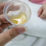 Pregnant,Show,Colostrum,:,It,Is,A,Form,Of,Milk